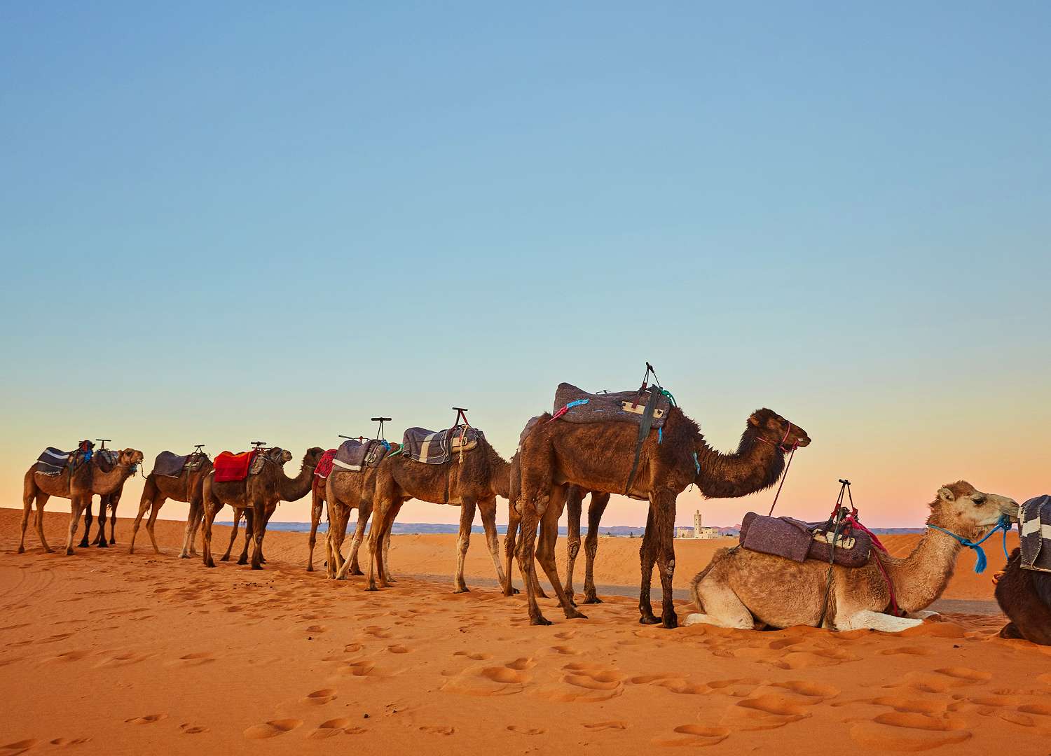 travel-and-tour